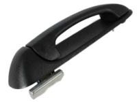 OEM 2011 Ram Dakota Handle-Exterior Door - 55275685AB