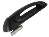 OEM Ram Dakota Handle-Exterior Door - 55275685AB