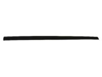 OEM 2012 Chrysler Town & Country Molding-Sliding Door - ZR64TZZAB