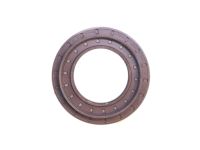 OEM 2009 Dodge Sprinter 2500 SEALRING-Differential Bearing - 68019031AB