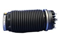 OEM 2015 Ram 1500 Spring-Air Suspension - 4877136AB