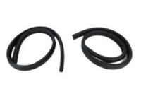 OEM 2001 Dodge Ram 2500 Van WEATHERSTRIP-Cargo Door - 55359202AB