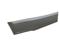 OEM 2005 Dodge Magnum Molding-Front Door - 5179257AA