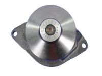 OEM 1992 Dodge W250 Water - 68461455AA