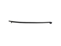 OEM Chrysler WEATHERSTRIP-Sliding Door Secondary - 68188722AD