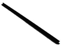 OEM Dodge Dakota Seal-Glass Run - 55255888AE