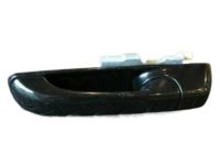 OEM 2010 Jeep Grand Cherokee Handle-Exterior Door - 5HS57AXRAJ