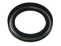 OEM Ram Seal-Adapter - 52119498AA