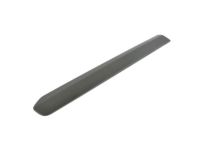 OEM 2016 Ram ProMaster City Molding-Body Side - 5YE20JXWAA