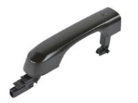 OEM Jeep Handle-Exterior Door - 6QL53TZZAA