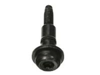 OEM 2021 Chrysler Pacifica Screw - 6509167AA