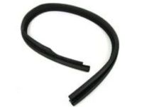 OEM 2004 Chrysler Sebring WEATHERSTRIP-Front Door Opening - MR271701
