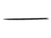 OEM Ram Dakota Molding-Rear Door - 55077729AA