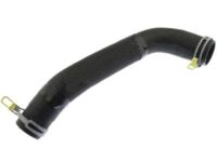 OEM Ram 1500 Classic Hose-Radiator Outlet - 55056771AD