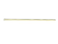 OEM 2007 Dodge Magnum Molding-Front Door - WG19XWGAC