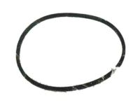 OEM Chrysler Town & Country O Ring-Fuel Pump And Level Unit - 4581239