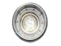 OEM Chrysler Wheel Center Cap - 4895432AA