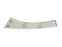 OEM Ram Bezel-HEADLAMP - 1ZT60ZZZAA