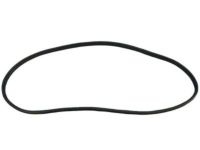 OEM Jeep WEATHERSTRIP-Rear Door Mounted - 55399255AE
