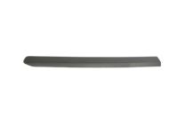 OEM 2016 Ram ProMaster City Molding-Body Side - 5YF68JXWAA