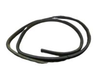 OEM 2000 Dodge Ram 3500 Van WEATHERSTRIP-Cargo Door - 55359201AA