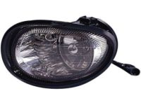 OEM 2001 Dodge Intrepid Fog Lamp - 4574836