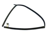 OEM 2006 Dodge Grand Caravan WEATHERSTRIP-Front Door Glass - 4894124AH