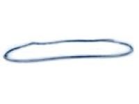 OEM Jeep Grand Cherokee WEATHERSTRIP-Front Door Opening - 55399213AE