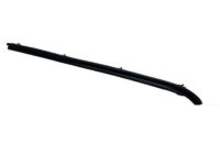 OEM Dodge B3500 WEATHERSTRIP-Front Door - 4161675