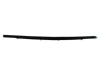 OEM 2003 Dodge Dakota Seal-Door - 55257239AE