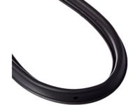 OEM Chrysler WEATHERSTRIP-Front Door Mounted - 4894299AC