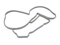 OEM Chrysler Aspen Gasket-Water Pump - 53021384AC