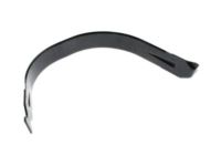 OEM 2008 Dodge Ram 2500 Strap-Fuel Tank - 52102671AB