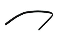 OEM 2011 Ram Dakota Seal-Rear Door Glass - 55359443AE