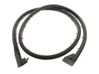 OEM 2001 Dodge Ram 2500 Van WEATHERSTRIP-Cargo Door - 55359203AB