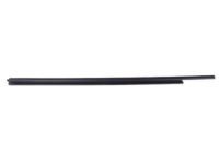 OEM Dodge Charger WEATHERSTRIP-Door Belt Inner - 68040037AD