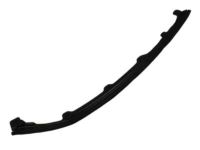 OEM 2010 Dodge Ram 3500 WEATHERSTRIP-A-Pillar - 55372708AB