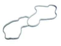 OEM 2022 Jeep Wrangler Gasket-Water Pump - 68394131AA