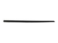 OEM 2012 Ram C/V Molding-Front Door - ZR53TZZAC