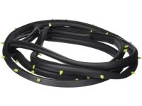 OEM Chrysler Voyager WEATHERSTRIP-Front Door - 4717721AA