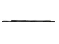 OEM 2005 Dodge Magnum WEATHERSTRIP-Front Door Belt - 4806060AE