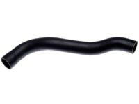 OEM Jeep Commander Hose-Radiator Outlet - 5181531AA