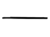 OEM 2005 Dodge Magnum WEATHERSTRIP-Front Door Belt - 4805997AE