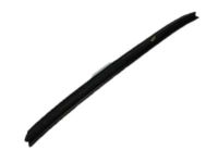 OEM 1999 Dodge Ram 3500 WEATHERSTRIP-Front Door Belt - 55134598