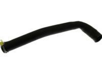 OEM Dodge Ram 1500 Hose-Fuel Filler Vent - 52102376AA