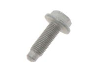 OEM Ram Screw-HEXAGON FLANGE Head - 6106253AA