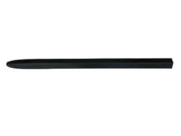 OEM 2002 Dodge Caravan Molding-Front Door - RQ45HS5AA
