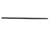 OEM 2007 Dodge Magnum Molding-Rear Door - WG20AXRAC