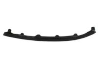 OEM 2010 Dodge Ram 3500 WEATHERSTRIP-A-Pillar - 55372709AB