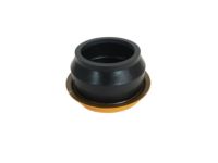 OEM Dodge Seal-Extension - 4638941